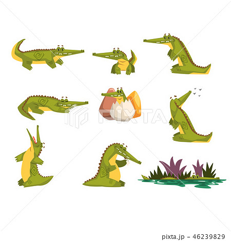 Friendly crocodile in different poses set, funny predator cartoon character, roc daily activities Friendly crocodile in different poses set, funny predator cartoon character, roc daily activities 46239829