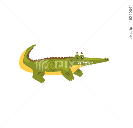 Friendly crocodile, funny predator cartoon character vector Illustration on a white background Friendly crocodile, funny predator cartoon character vector Illustration on a white background 46240094
