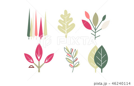Flat vector set of different colorful leaves. Natural decorative elements. Botanical theme. 46240114