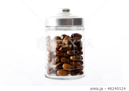 どんぐり どんぐり 46240124