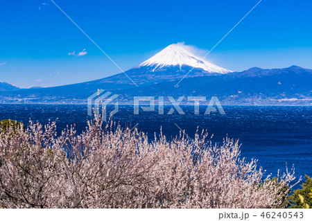 (静岡県)伊豆から、海越しの富士山 (静岡県)伊豆から、海越しの富士山 46240543