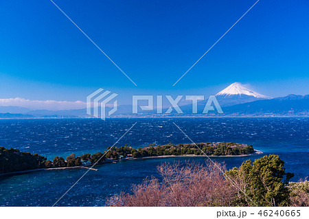 (静岡県)大瀬崎から、海越しの富士山 (静岡県)大瀬崎から、海越しの富士山 46240665
