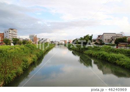 馬込川/静岡県浜松市中区中央2 46240969