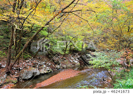 帝釈峡 帝釈峡 46241673