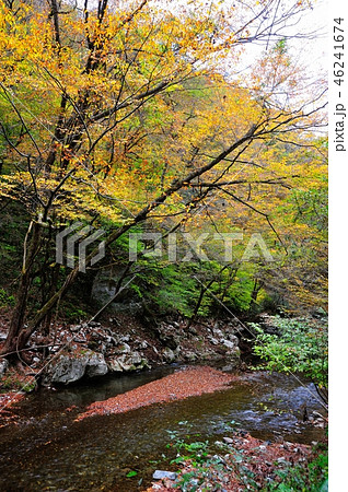 帝釈峡 帝釈峡 46241674
