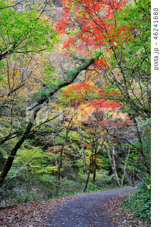 帝釈峡 帝釈峡 46241680