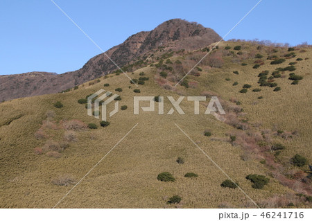 金時山 金時山 46241716