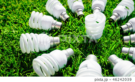 Energy saving light bulbs on green grass 46242039