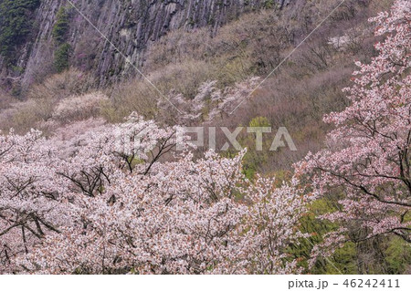 屏風岩 屏風岩 46242411