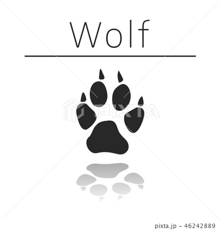 Wolf animal track 46242889