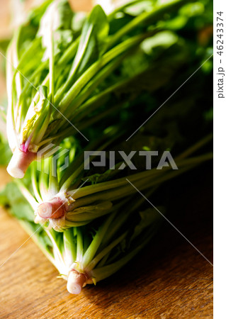 赤根ほうれんそう 46243374