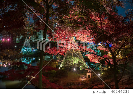 《東京都》　日本庭園　肥後細川庭園　ライトアップ　 46244235
