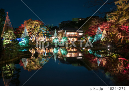 《東京都》　日本庭園　肥後細川庭園　ライトアップ　 46244271