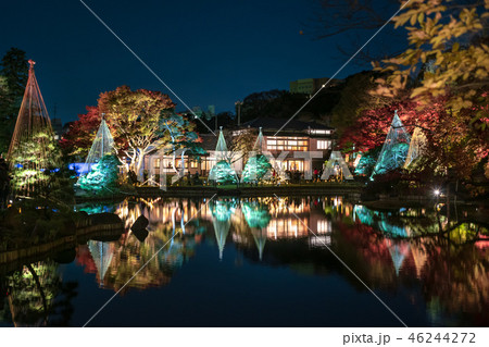 《東京都》　日本庭園　肥後細川庭園　ライトアップ　 46244272