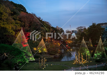 《東京都》 日本庭園 肥後細川庭園 ライトアップ 《東京都》 日本庭園 肥後細川庭園 ライトアップ 46244290