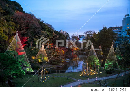《東京都》　日本庭園　肥後細川庭園　ライトアップ　 46244291
