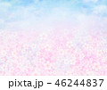 背景素材 サクラ 46244837
