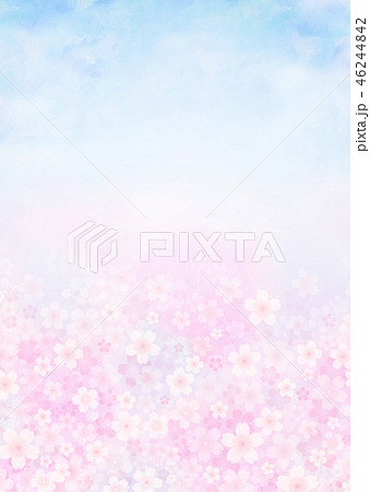 満開の桜 桜吹雪 ソメイヨシノ 46244842