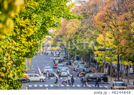 愛知県 名古屋都市風景 若宮大通 愛知県 名古屋都市風景 若宮大通 46244848