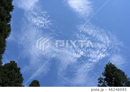 森と青空 46246095