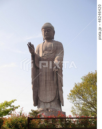 初夏の牛久大仏 初夏の牛久大仏 46246420
