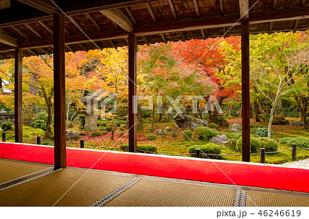 秋の圓光寺 秋の圓光寺 46246619