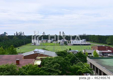 大潟村の風景 46246676