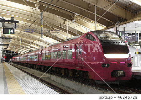 特急いなほ号（E653系ハマナス色） 46246728