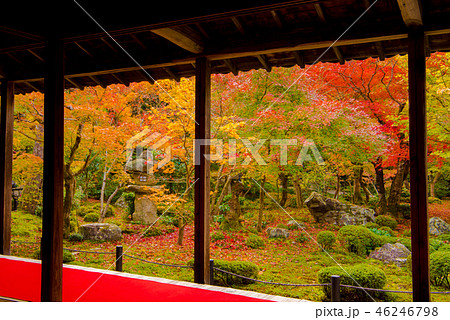 秋の圓光寺 秋の圓光寺 46246798