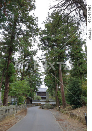 信州・「栗と北斎と花の町小布施」の街並 鬱蒼とした玄照寺の参道 信州・「栗と北斎と花の町小布施」の街並 鬱蒼とした玄照寺の参道 46246969
