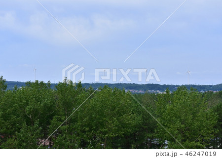 大潟村の風景 46247019