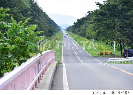 大潟村の風景 46247108