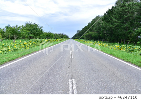 大潟村の風景 46247110