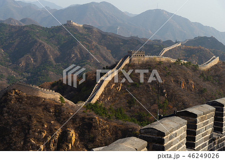 中国 チャイナ 磁器 46249026