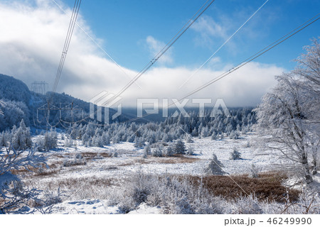 High voltage power lines in the winter. High voltage power lines in the winter. 46249990