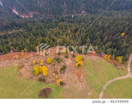 Aerial drone view on a forest. 46249994
