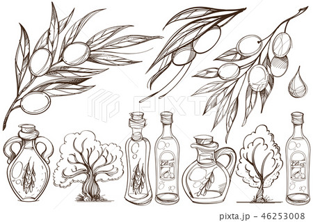 Olive branches and bottles with oil contour drawings 46253008