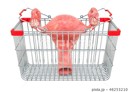 Female uterus in shopping basket, 3D rendering 46253210