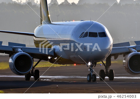 タキシング タキシング 46254003