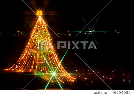 宮ヶ瀬のジャンボクリスマスツリー 宮ヶ瀬のジャンボクリスマスツリー 46254080