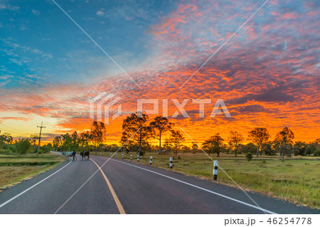 silhouette of the sunrise with the road,the beaut 46254778