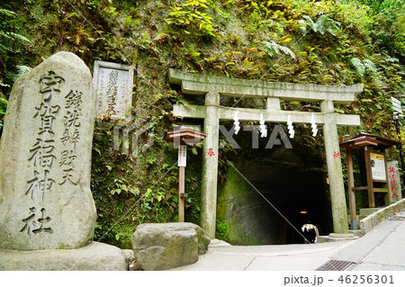 宇賀神神社銭洗弁財天 宇賀神神社銭洗弁財天 46256301