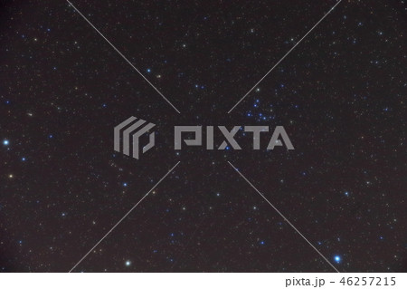 かみのけ座 かみのけ座 46257215