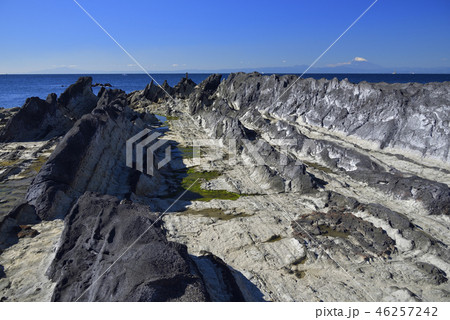 三浦半島 【神奈川】 荒崎の磯と富士山 【冬】 46257242