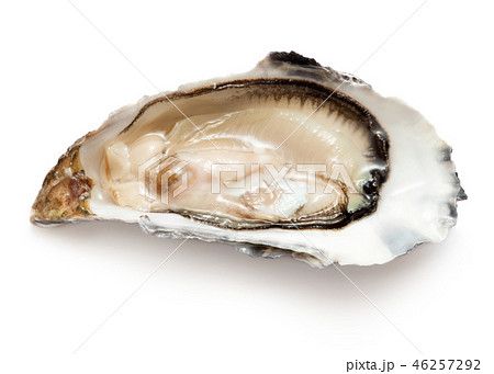 single oyster isolated 46257292