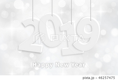 2019 新年 光沢の種だ 46257475