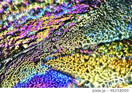 薄氷の偏光効果による色模様 46258000