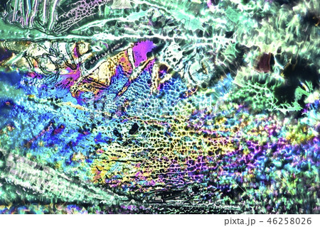 薄氷の偏光効果による色模様 46258026