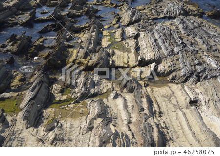 三浦半島 【神奈川】 荒崎公園の岩 【冬】 46258075