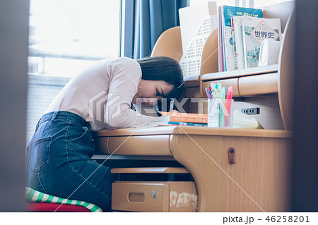女子高生 46258201